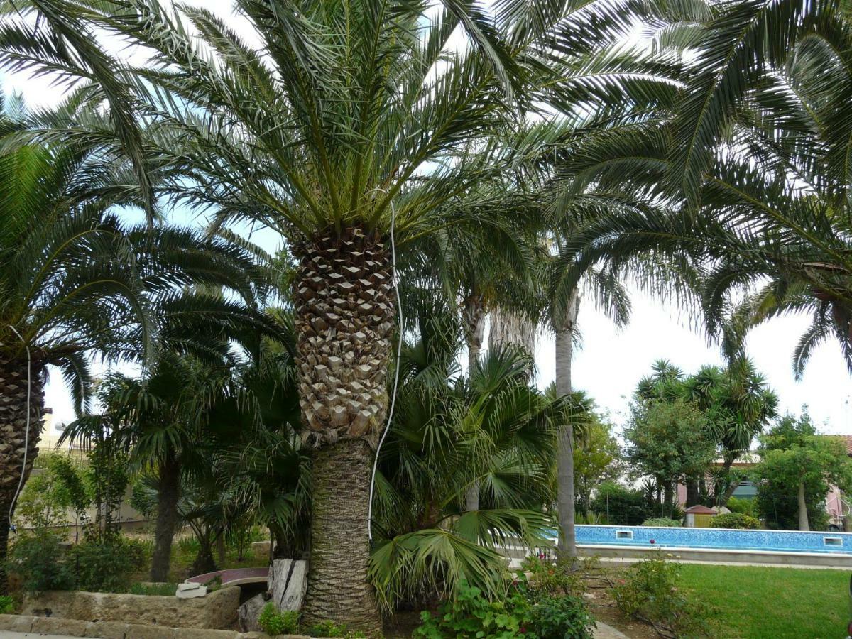 Villa Yucca Avola Exteriör bild