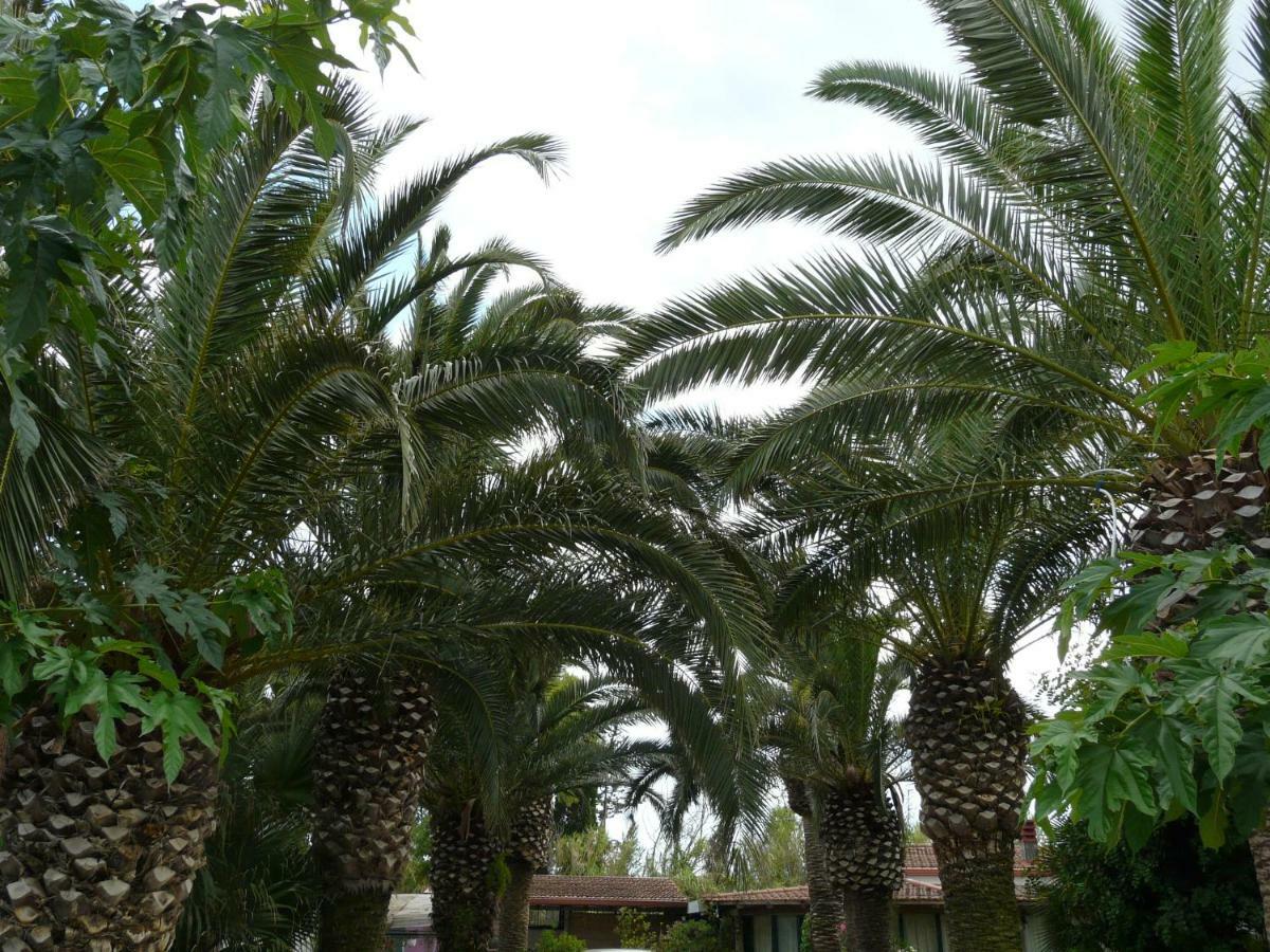 Villa Yucca Avola Exteriör bild